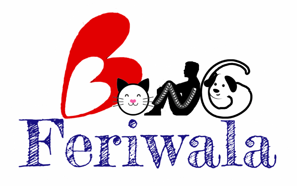 cropped bong feriwala logo sq.png